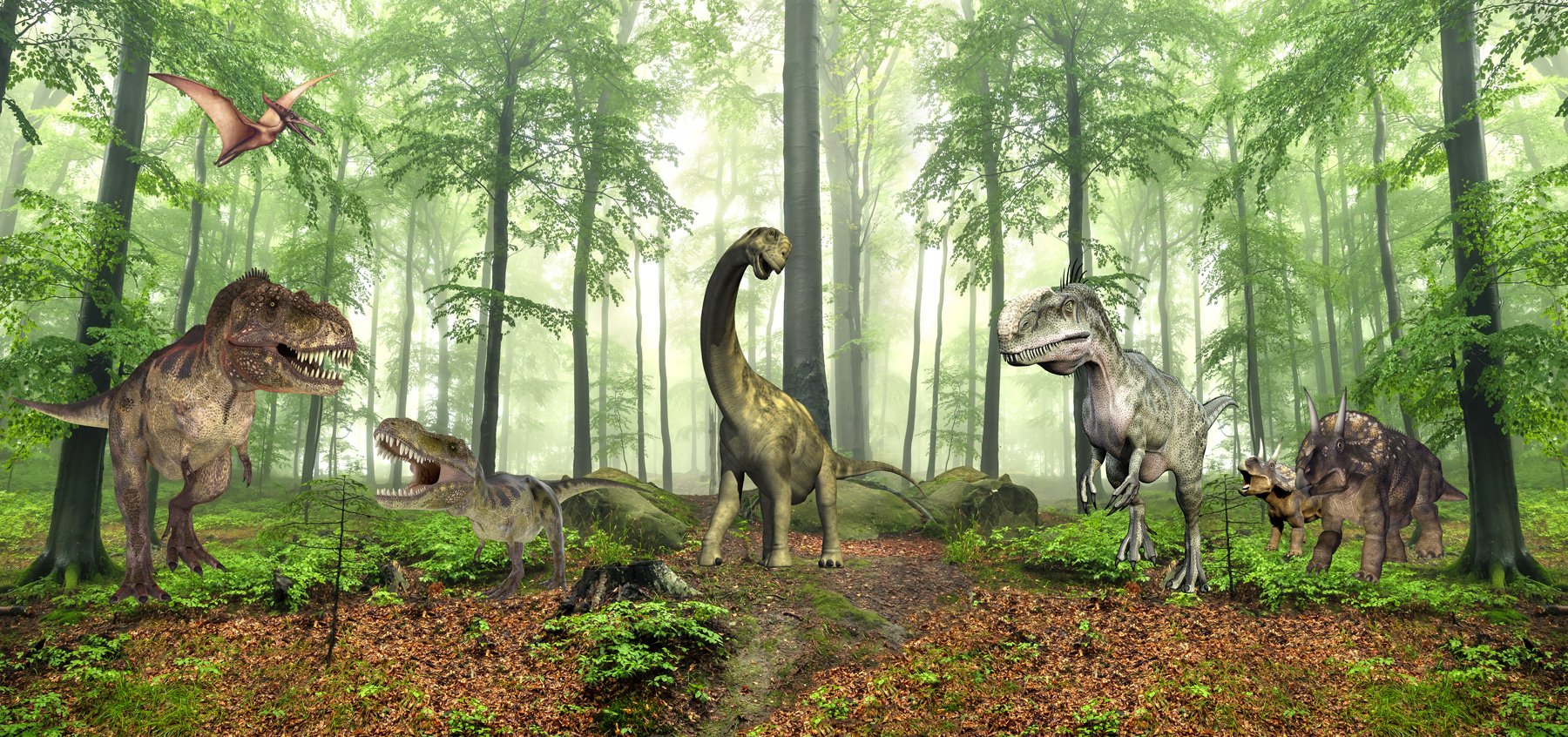 🦕 가쓰야마 공룡 공원(가쓰야마 디노파쿠) 이미지 8